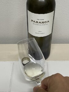 パランガ ホワイトの外観