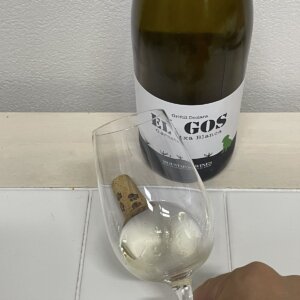 グリフォイ　デクララ　エル　ゴス　ブランの外観