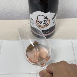 フォエミネ ピノ・グリージョの外観