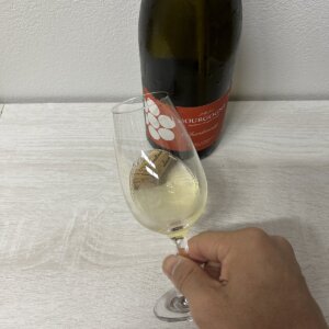 ブルゴーニュ シャルドネの外観