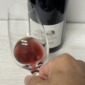 メルキュレ　ルージュの外観