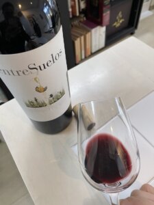 エントゥレスエロ・テンプラニーリョ 2017の外観