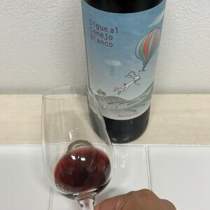 シゲ　アル　コネホ　ブランコ　ガルナッチャ2020の外観