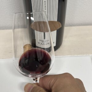 インキオストロ　メルロの外観