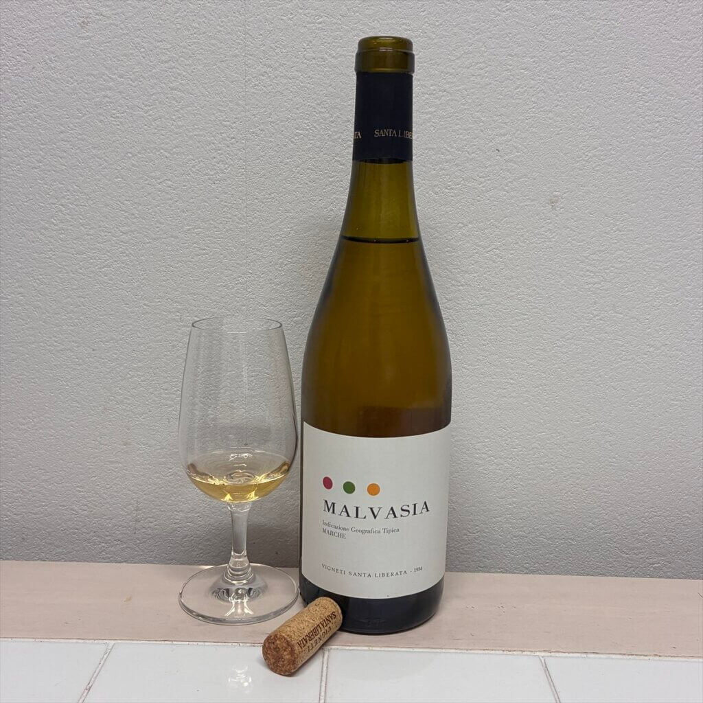 ダグネット マルケ マルヴァジアIGT